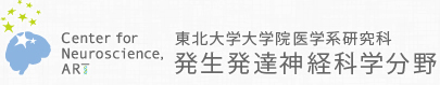 東北大学大学院医学系研究科 発生発達神経科学分野