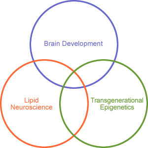 Brain Development, Lipid Neuroscience, Transgenerational Epigenetics